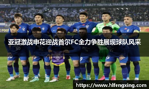 好博体育登陆人口